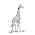 Gentle Giant