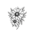 Solar Radiance