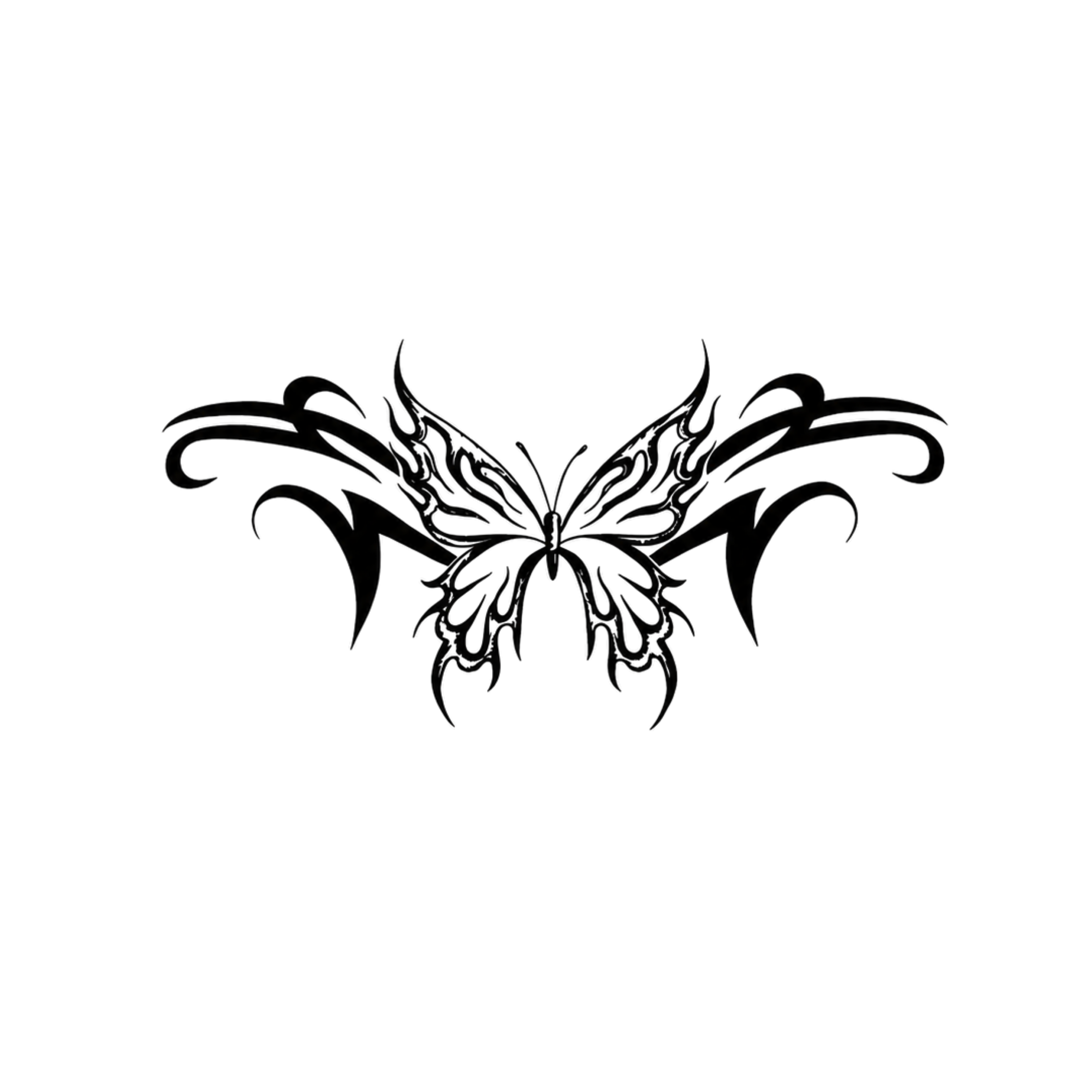 Electrifly