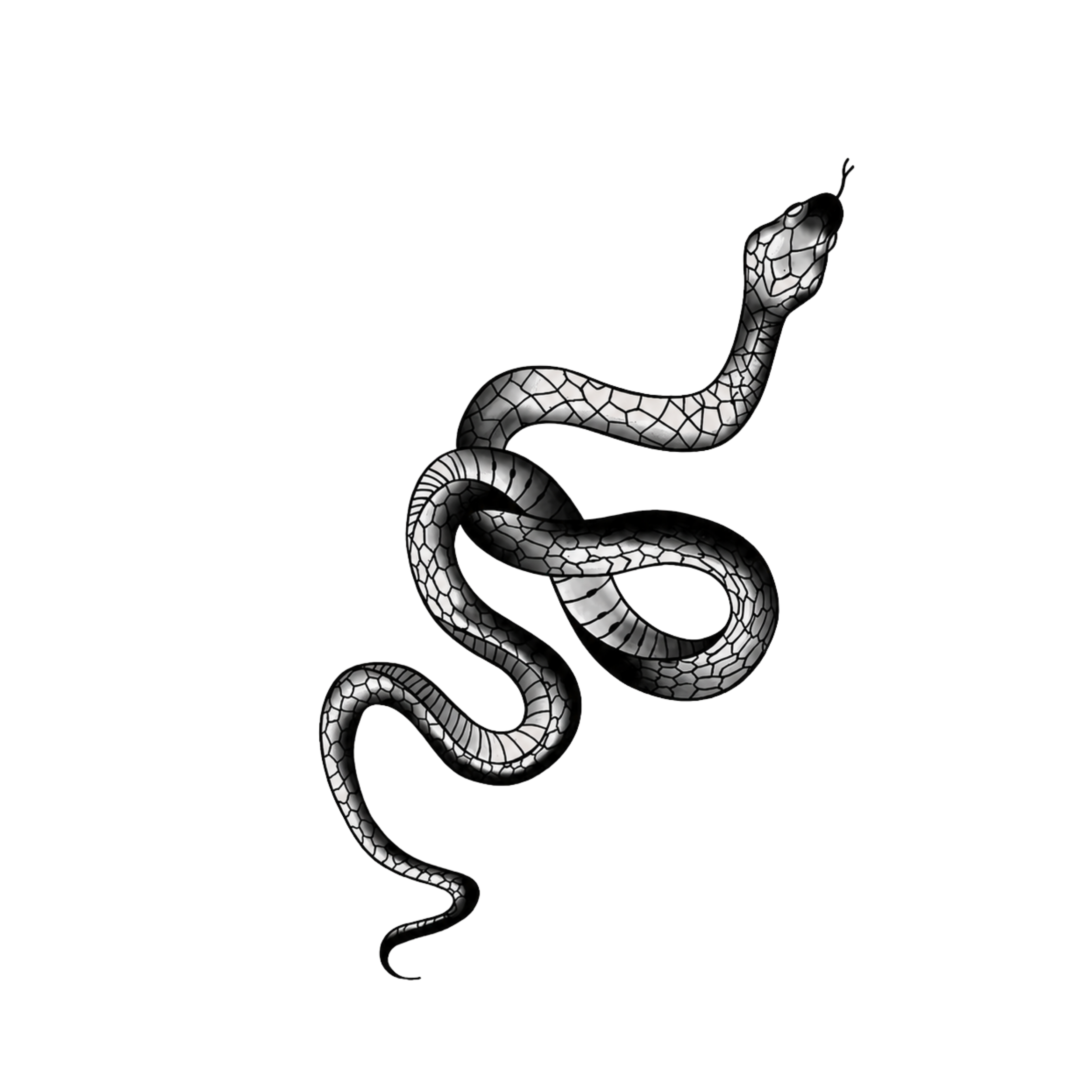 Slither