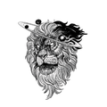 Space Lion